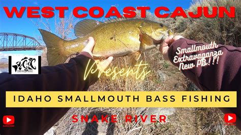 Smallmouth Bass Fishing Idaho Snake River Youtube