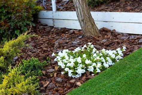 How To Mulch Flower Beds