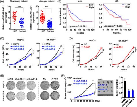 M6a修饰的lncrna Arhgap5 As1参与肝细胞癌的进展 企业动态 丁香通