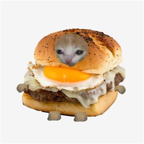 A Hamster In A Burger With An Egg On It