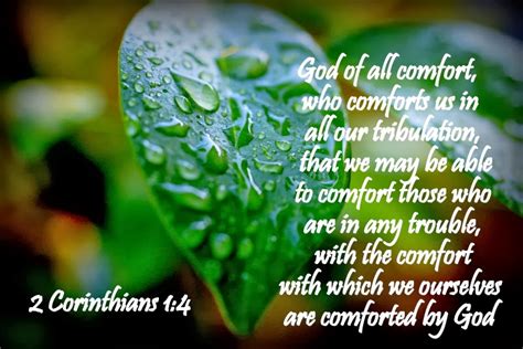 God of all comfort, who comforts us in all our tribulation