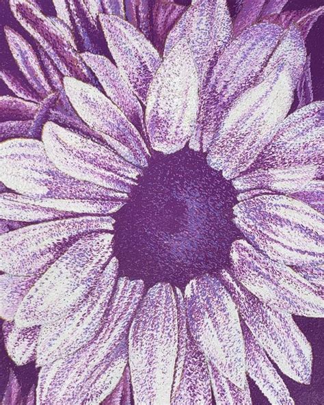 Purple Sunflower Monochromatic Aaroncesh Art Drawings