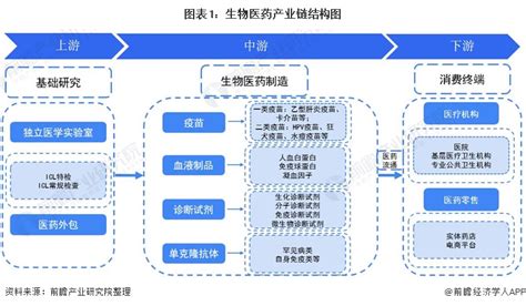 干货2021年中国生物医药行业产业链现状及市场竞争格局分析 北京长三角地区协同发展 研究报告 前瞻产业研究院