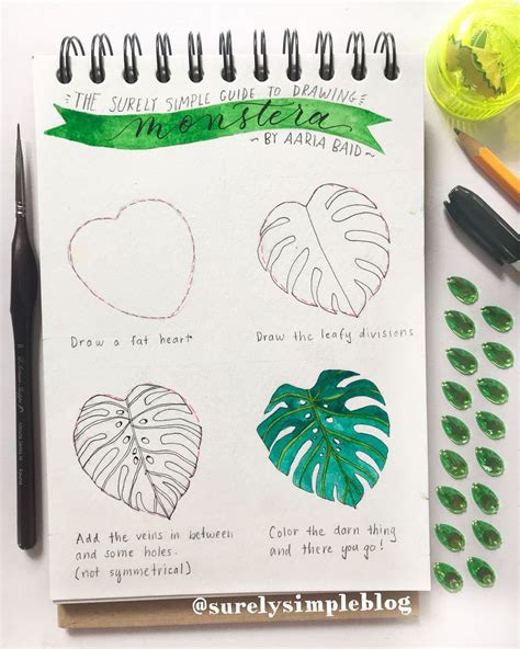 How To Draw A Monstera Drawing Word Searches