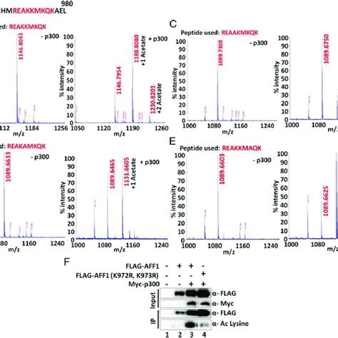 Mass Spectrometric Analysis Of P Mediated In Vitro Acetylation Of