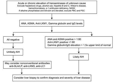 Autoimmune Hepatitis