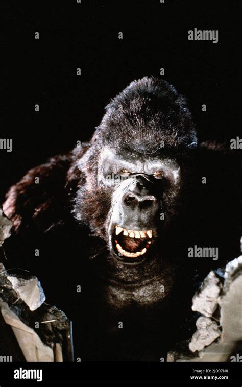 King Kong Lebt Fotos Und Bildmaterial In Hoher Aufl Sung Alamy