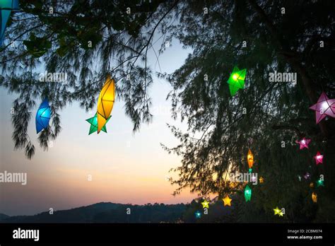 Fairy lights in tree Stock Photo - Alamy