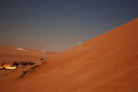 Oasis in the Namib Desert stock photo. Image of tree - 14097948