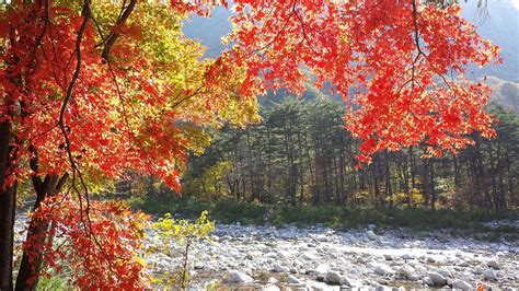 Guide To Seoraksan National Park Nearby Attractions