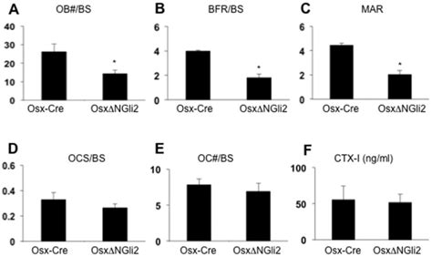 A Osteoblast Number Normalized To Bone Surface B C Bone Forming Download Scientific