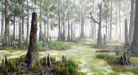 Bald Cypress Swamp in Environments - UE Marketplace