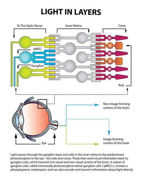 Science Behind Light - Image | Freelancer