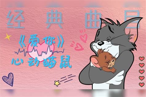 猫和老鼠每天一遍防止失恋这才是爱你真正的MV