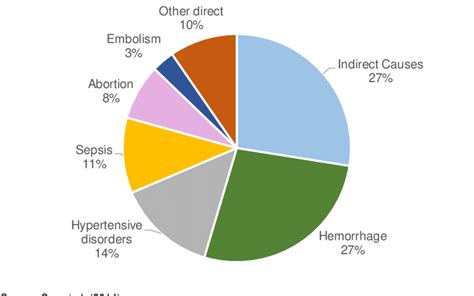 1 Causes of maternal mortality | Download Scientific Diagram