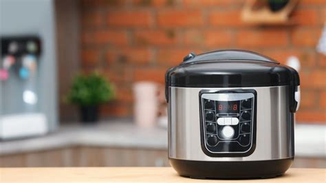 Commercial Rice Cooker: Gas or Electric? | Top Sushi Machines