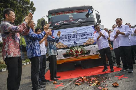 Pelepasan Ekspor Telur Konsumsi Ke Singapura Antara Foto