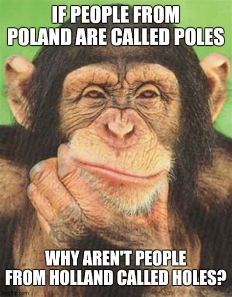 Poles And Holes Imgflip