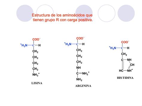 Clasificación De Los Aminoácidos Libro ElectrÓnico De BioquÍmica Juan José Martínez Guerra