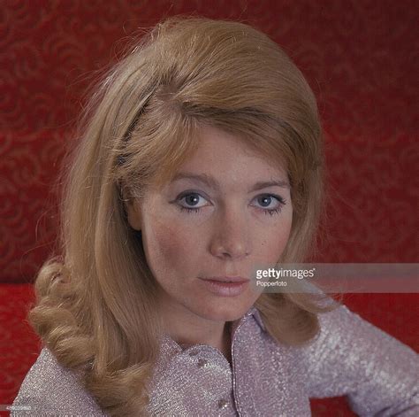 British Actress Ann Bell Posed In 1967 British Actresses Actresses