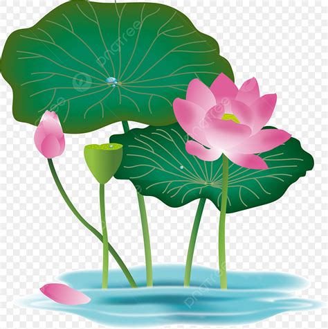 Lotus Flower Clip Art Images Best Flower Site