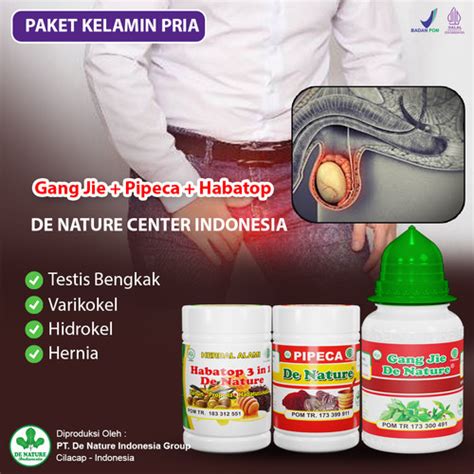 Jual Obat Buah Zakar Testis Bengkak Besar Sebelah Sakit Varikokel Alami