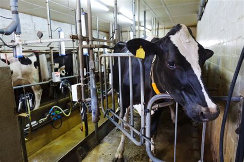 Usda Opens 2020 Enrollment For Dairy Margin Coverage Program