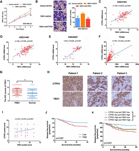 Ybx Ctps Axis Is Involved In The Progression Of Tnbc A B Cell