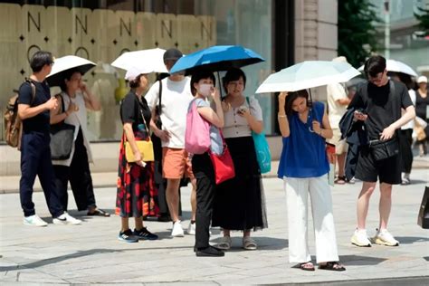 東京飆近40度高溫！西瓜被熱成「梅乾」 專家：別為省錢不開冷氣 國際要聞 全球 Nownews今日新聞