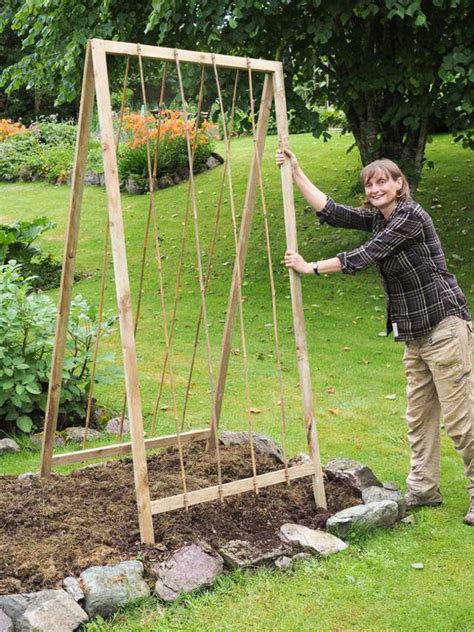 Easy Diy Cucumber Trellis Ideas A Piece Of Rainbow