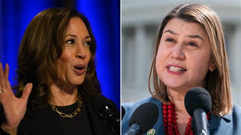 Michigan Democratic Senate Hopeful Warns Harris Is Falling Behind In