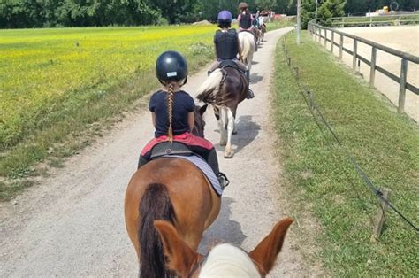 L Abreuvoir De Grilly Centre Questre Poney Club Cole Et Cours D