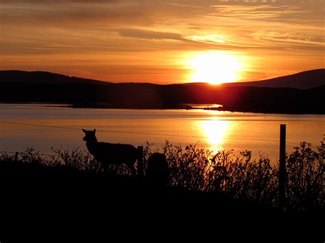 Visit Isle of North Uist: 2024 Travel Guide for Isle of North Uist ...