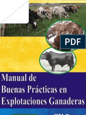 Manual De Buenas Practicas En Explotaciones Ganaderas Pastos Para