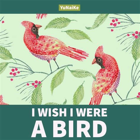 Stream I Wish I Were A Bird（Lofi HipHop） by YuNaiKe(池田有那) | Listen ...