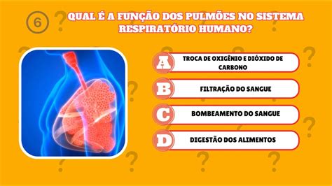 Perguntas B Sicas De Biologia Voc Sabe Quiz Planeta Terra