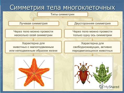 Подготовка к ВПР по биологии. 8 класс - презентация онлайн