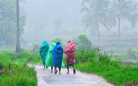 Kerala To Experience Heavy Rains Orange Alert For 3 Districts Yellow