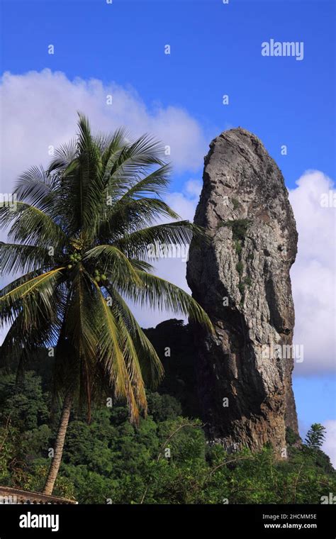 Brazil Pernambuco State Fernando De Noronha Island Nature Reserve