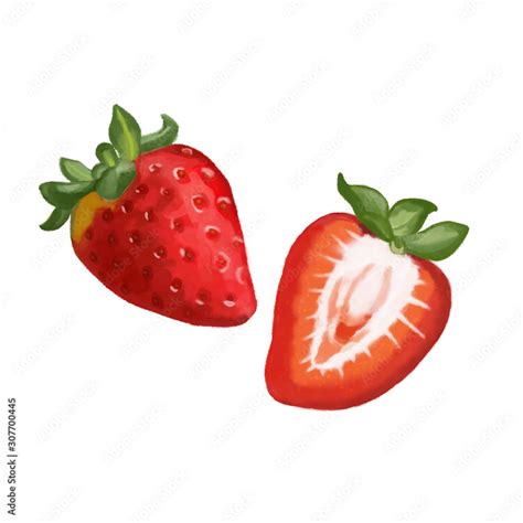 Strawberry Illustration