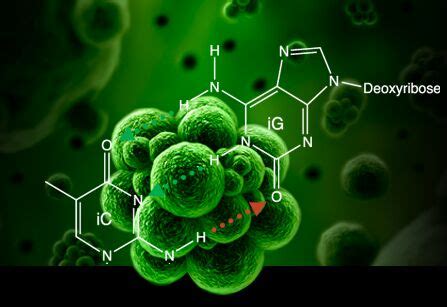 Taq Dna Polymerase Ulsc At Rs In Surat Id