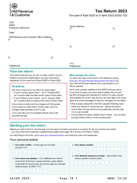 Sa100 form 2023: Fill out & sign online | DocHub