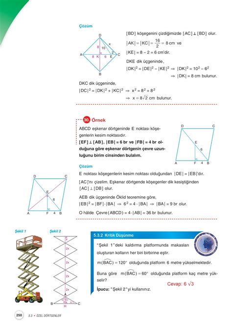 10 Sınıf Matematik Ders Kitabı Miray Yayınları Sayfa 250 Cevapları