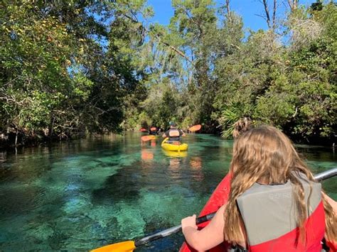 Weeki Wachee Springs 2019 Ce Quil Faut Savoir Pour Votre Visite