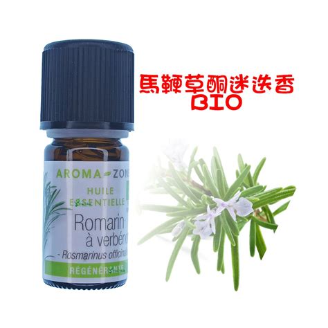 迷迭香精油 迷迭香 精油 馬鞭草酮 Bio Rosemary Essential Oil 蝦皮購物