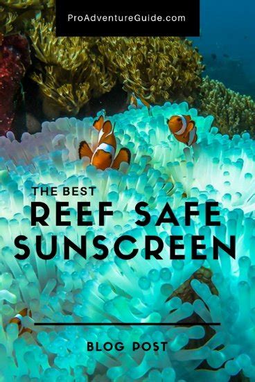 The BEST Reef Safe Sunscreen (2020)