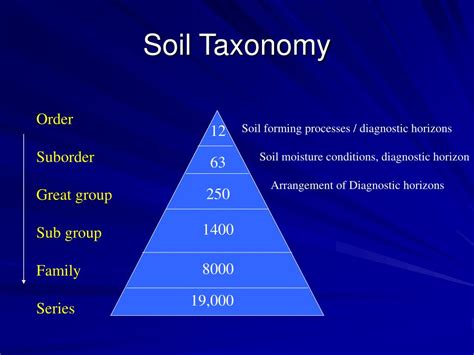 Ppt Soil Taxonomy And Classification Powerpoint Presentation Free