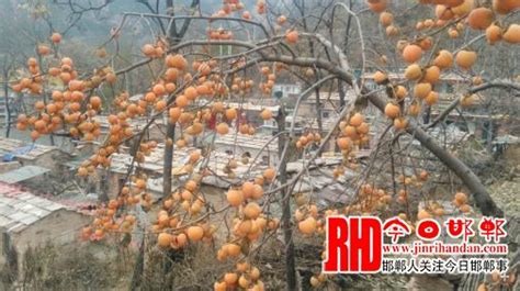 武安：太行三峽景區小山村里石頭建築淒涼的美 每日頭條