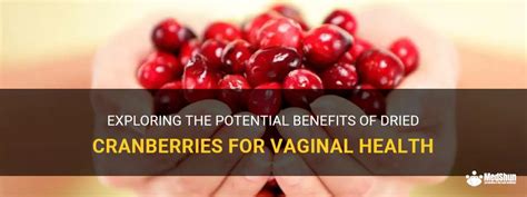 Exploring The Potential Benefits Of Dried Cranberries For Vaginal Health Medshun