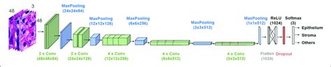 Architecture Of The Employed Cnn Model Vgg19 Is Used For Transfer Download Scientific